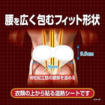 腰痛のコリを和らげるビアンストーン　ホットマット　未開封⑤ 腰痛のコリを和らげるビアンストーン ホットマット 未開封⑤ ⑤